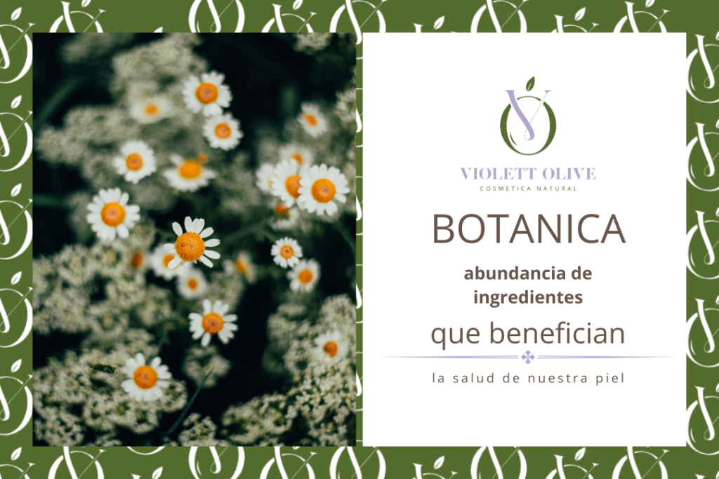 Botánica en cosmética natural violett olive Cosmética Natural Vegana y Orgánica