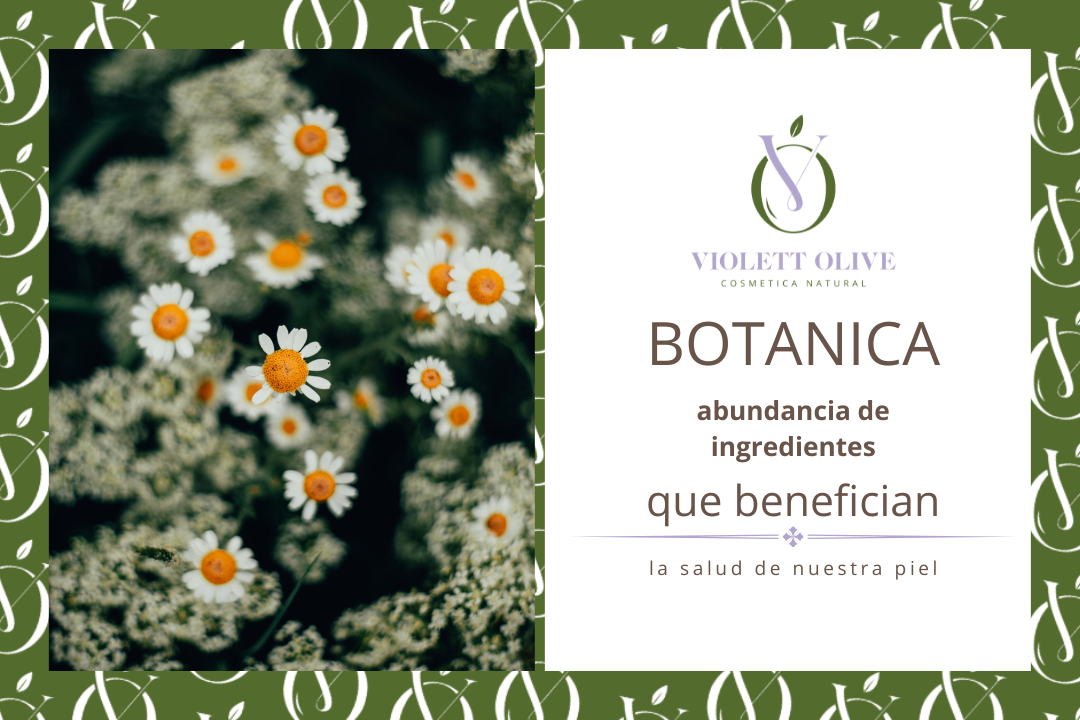 Botánica en cosmética natural