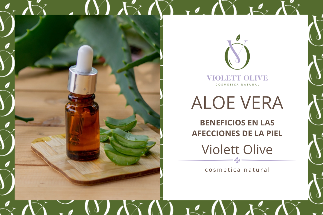 Beneficios del aloe vera  Cosmtica Natural Vegana Orgnica
