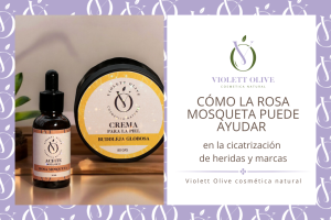 Cómo la rosa mosqueta puede ayudar en la cicatrización de heridas y marcas Violett Olive Cosmética natural vegana y orgánica Blog