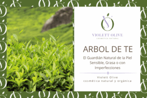 ARBOL DE TE VIOLETT OLIVE COSMETICA NATURAL Y ORGANICA