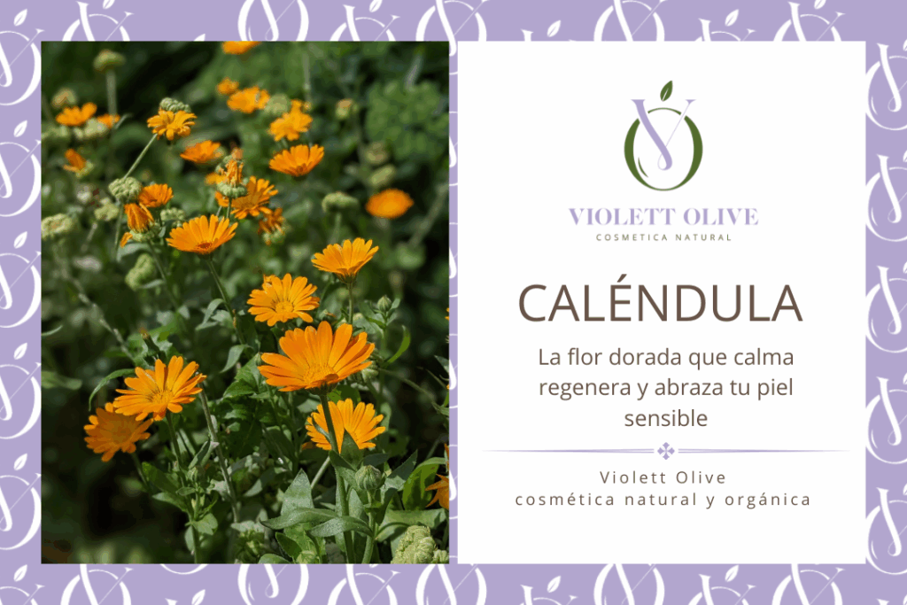 CALENDULA VIOLETT OLIVE COSMETICA NATURAL Y ORGANICA