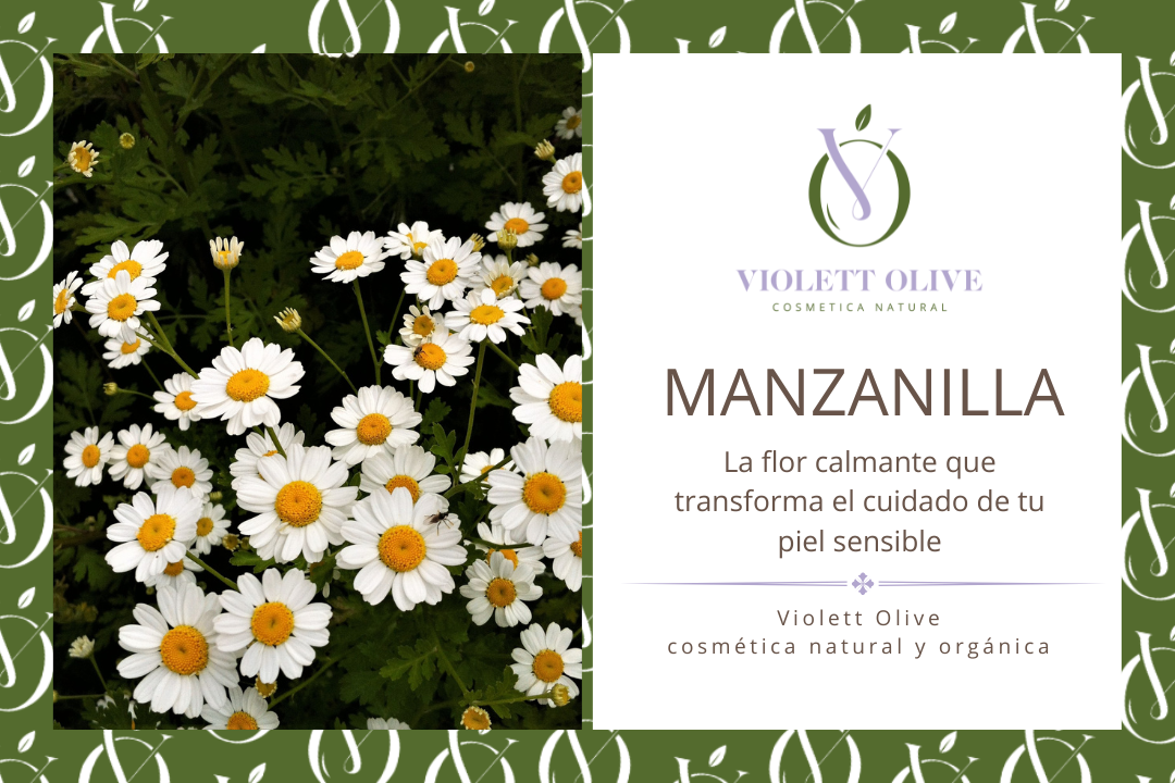 MANZANILLA VIOLETT OLIVE COSMETICA NATURAL Y ORGANICA