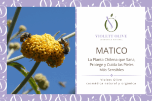 MATICO VIOLETT OLIVE COSMETICA NATURAL Y ORGANICA