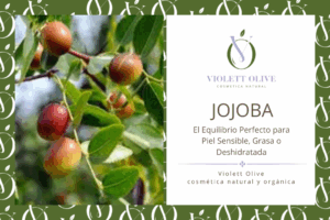 JOJOBA VIOLETT OLIVE COSMETICA NATURAL Y ORGANICA