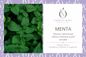 MENTA VIOLETT OLIVE COSMETICA NATURAL Y ORGANICA