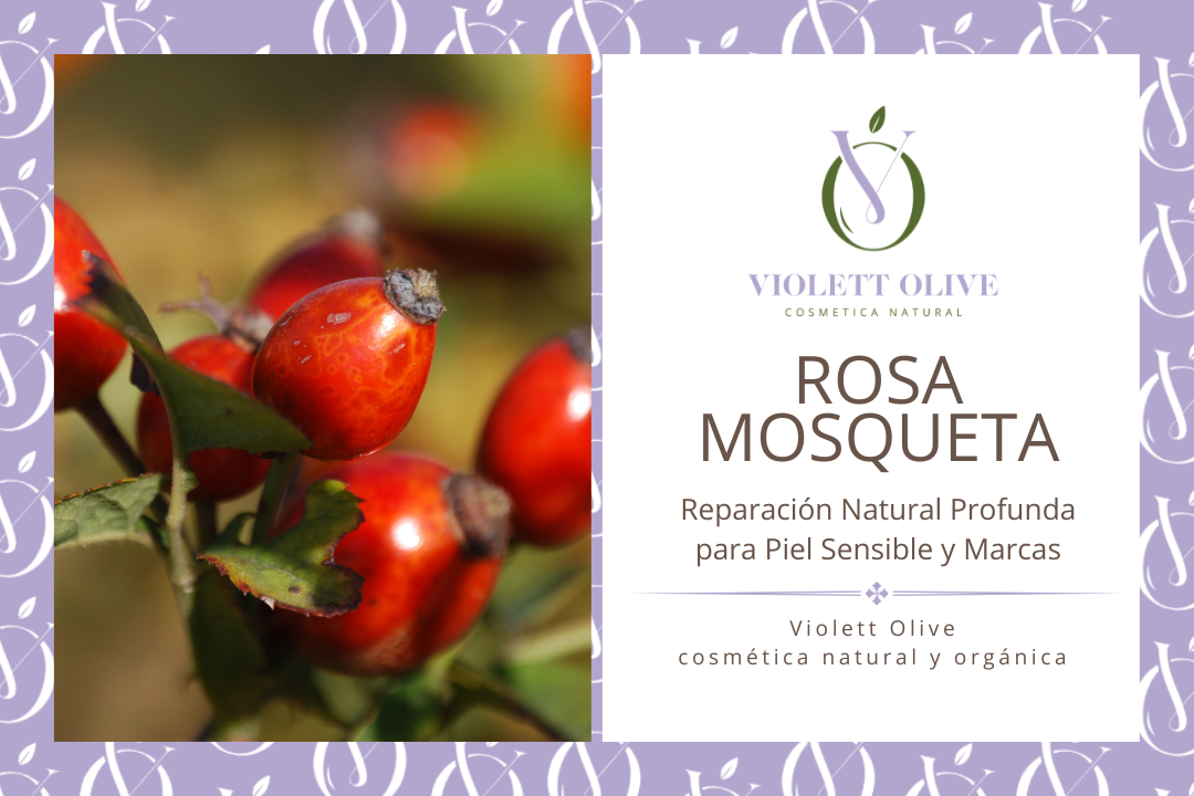 ROSA MOSQUETA VIOLETT OLIVE COSMETICA NATURAL Y ORGANICA