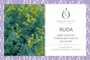 RUDA VIOLETT OLIVE COSMETICA NATURAL Y ORGANICA
