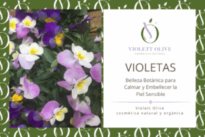 VIOLETAS VIOLETT OLIVE COSMETICA NATURAL Y ORGANICA