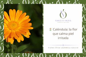Blog Caléndula: la flor que calma piel sensible Violett Olive cosmetica natural