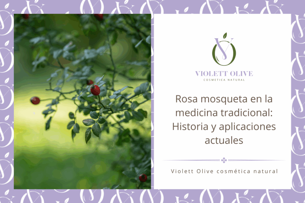 Blog Rosa mosqueta medicinal Historia y aplicaciones actuales cosmética natural