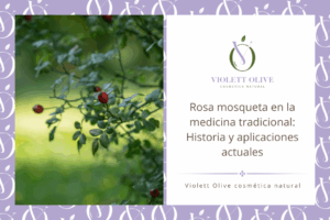 Blog Rosa mosqueta medicinal Historia y aplicaciones actuales cosmética natural