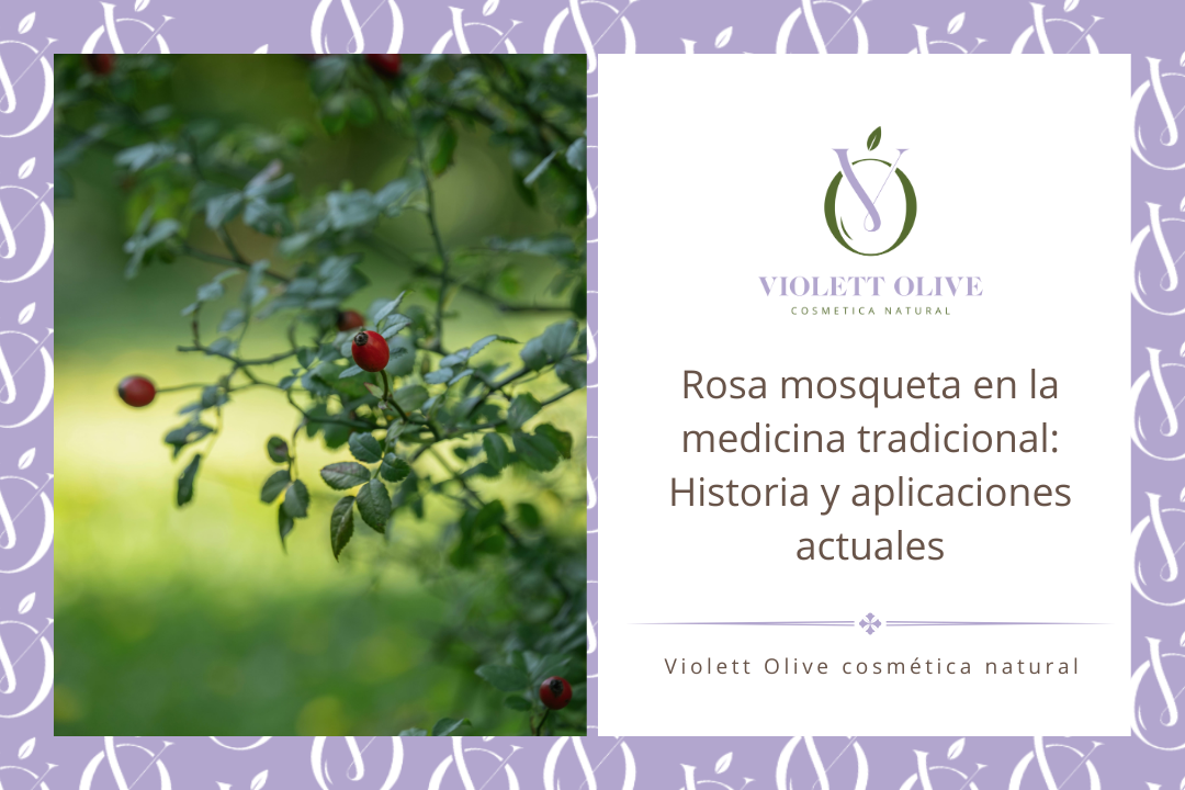 Rosa mosqueta medicinal