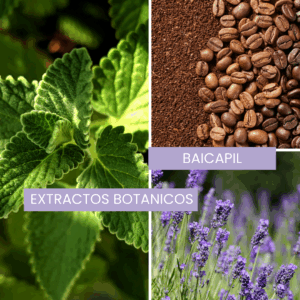 Booster Capilar Botanico COSMETICA NATURAL