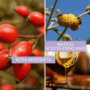 VIOLETT OLIVE COSMETICA NATURAL PARA PIEL SENSIBLE