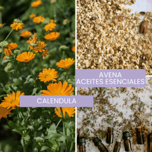 shampoo cabello delicado VIOLETT OLIVE COSMETICA NATURAL PARA PIEL SENSIBLE